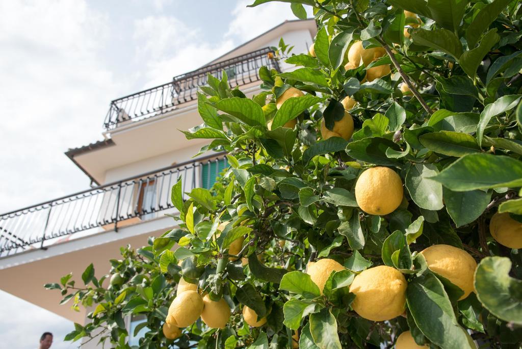 Residence Oleandro Пиетра Лигуре Екстериор снимка